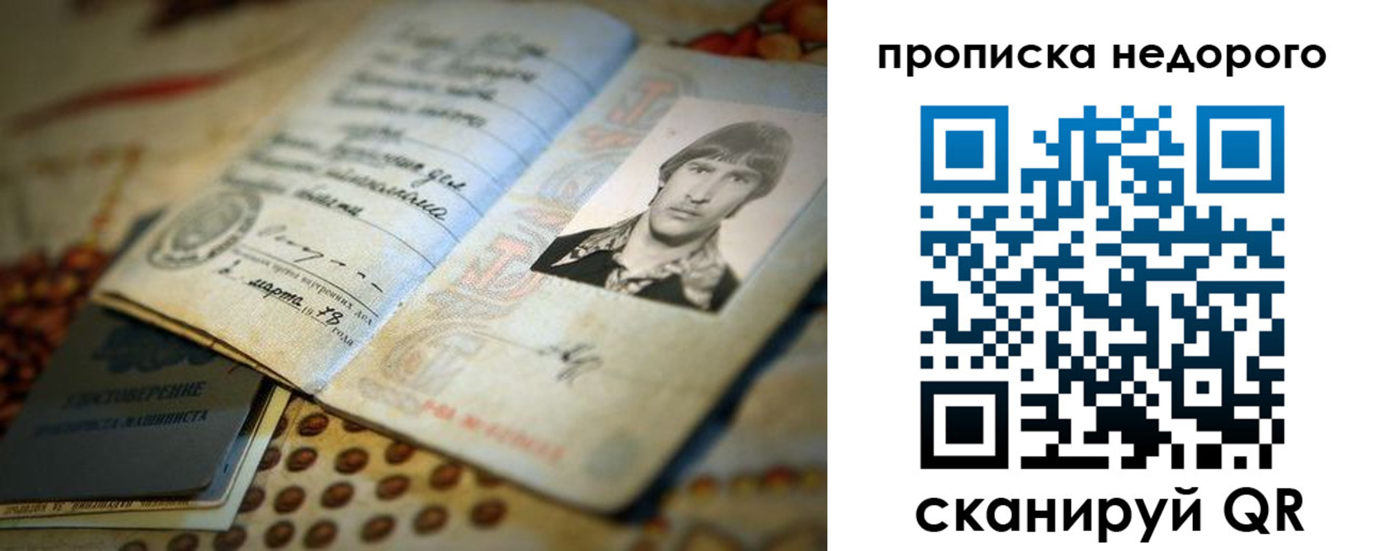 временная регистрация гарантия в Александровске