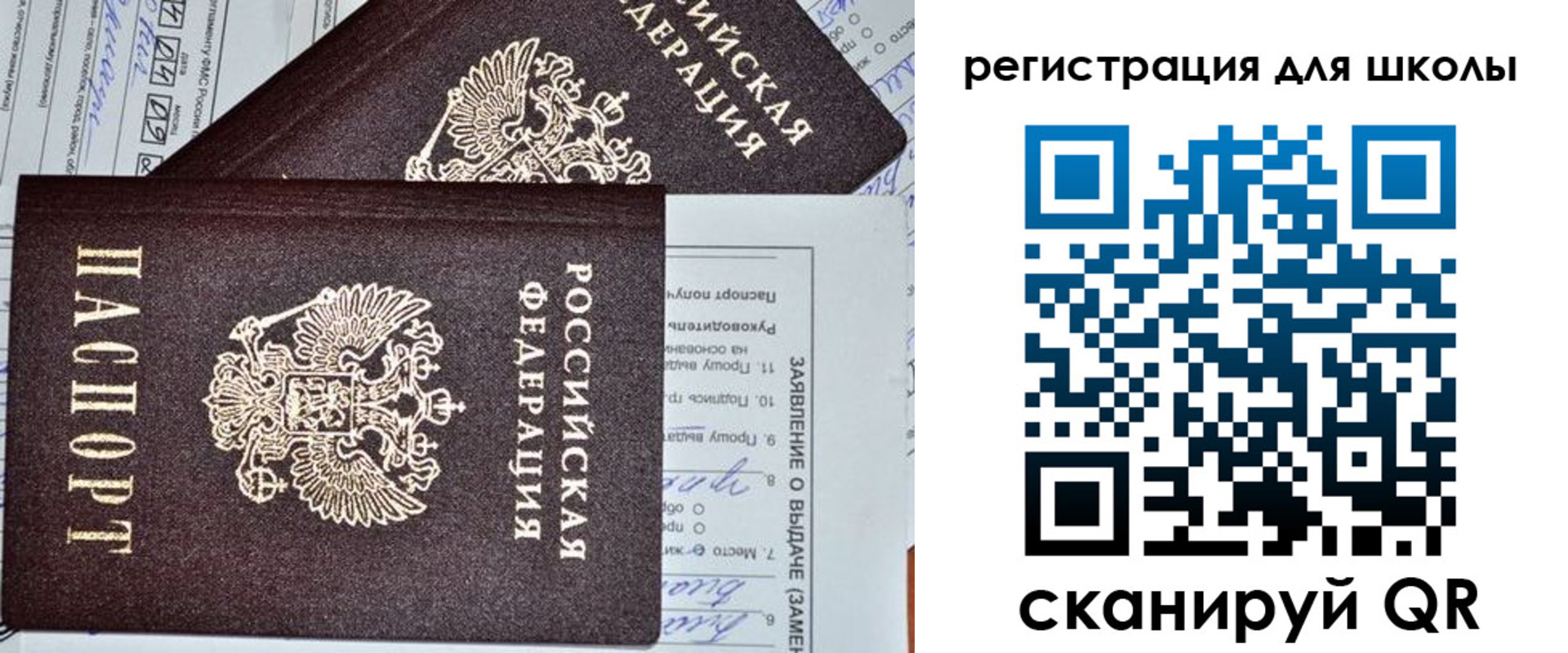 прописка штамп в Александровске